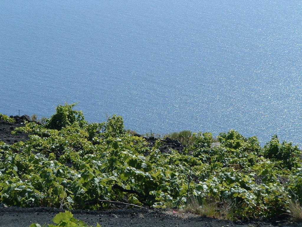 Casa Las Las Vinas Fuencaliente de la Palma Esterno foto