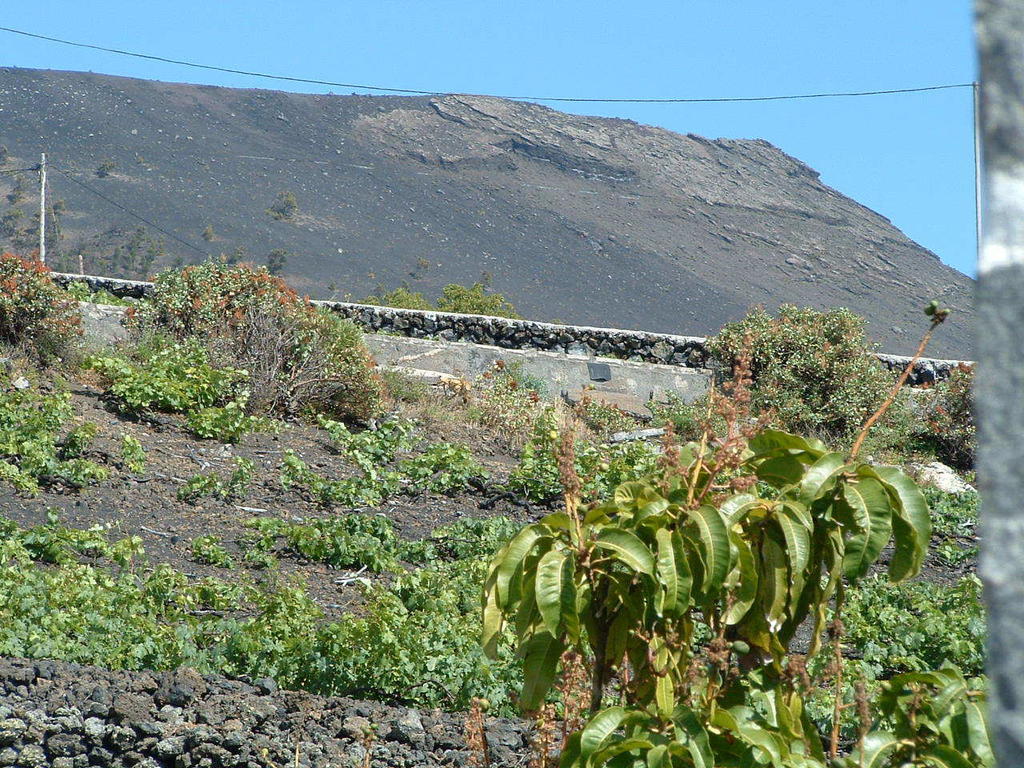Casa Las Las Vinas Fuencaliente de la Palma Esterno foto