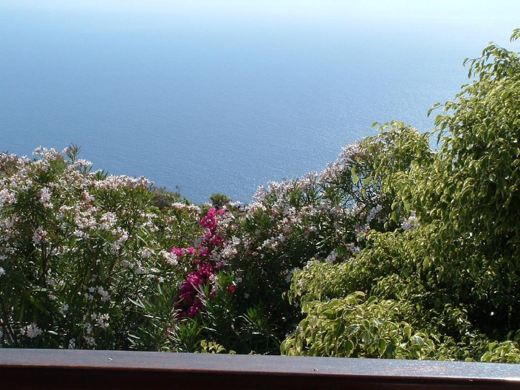 Casa Las Las Vinas Fuencaliente de la Palma Esterno foto