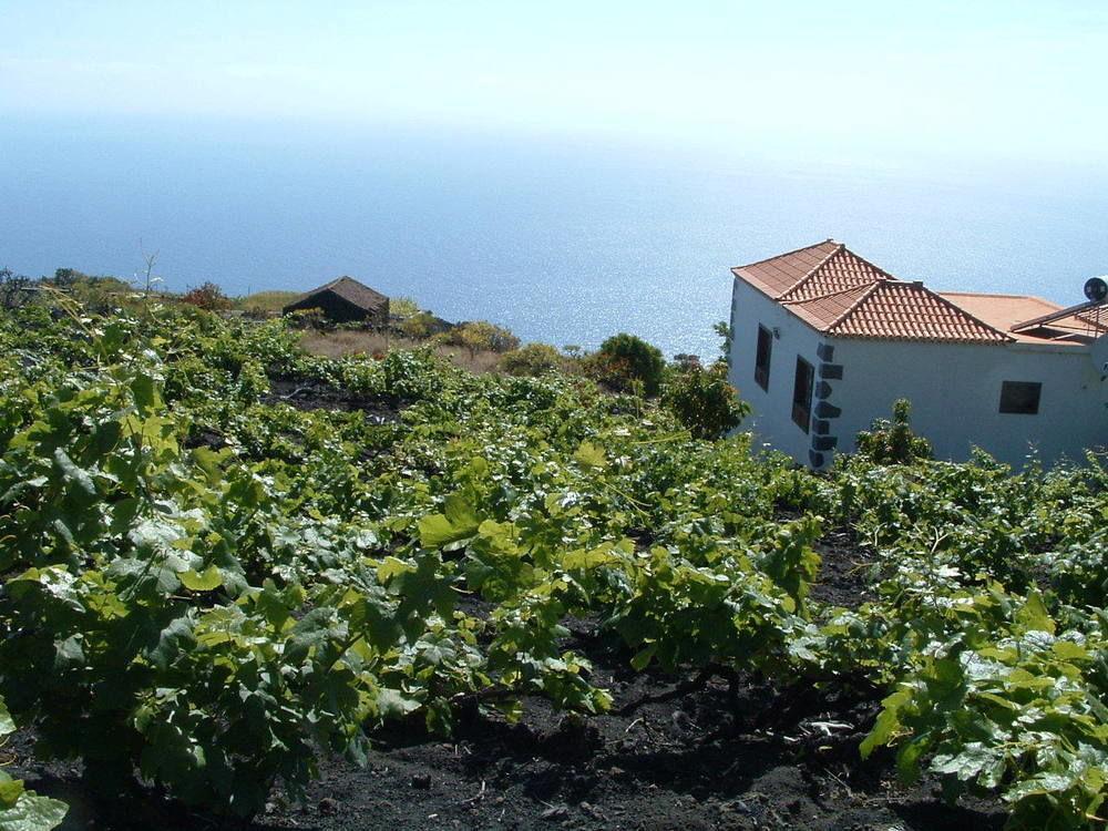 Casa Las Las Vinas Fuencaliente de la Palma Esterno foto
