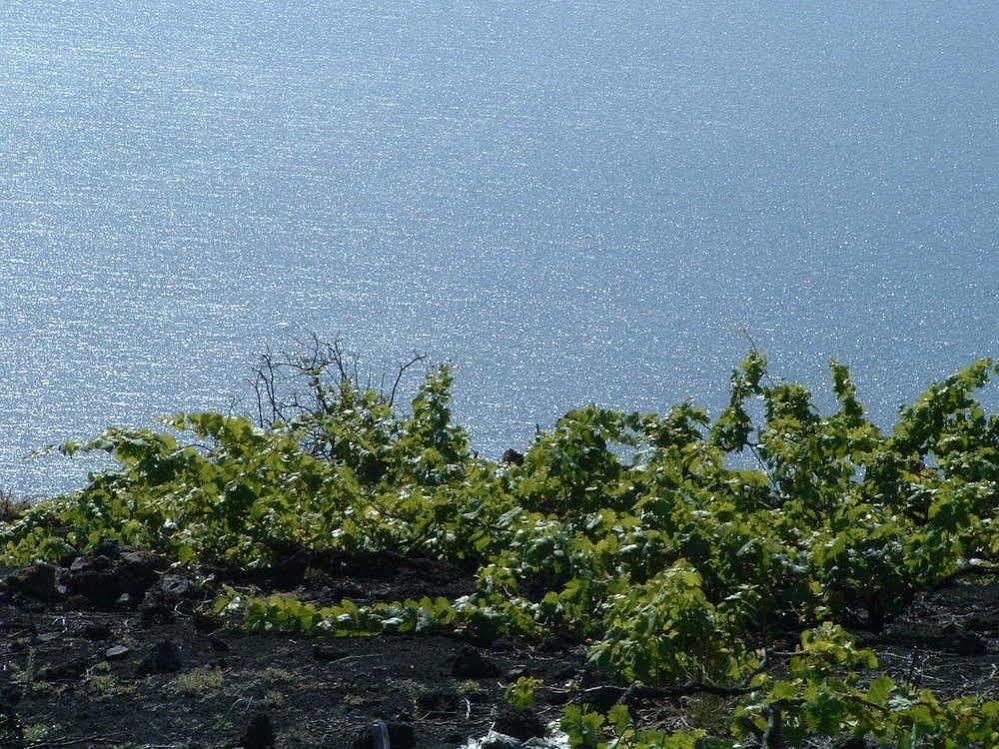 Casa Las Las Vinas Fuencaliente de la Palma Esterno foto
